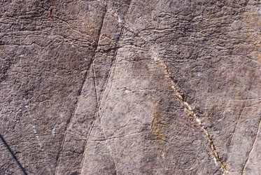 Similar image 21243107