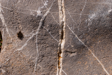 Similar image 21243111