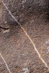 Similar image 21243115