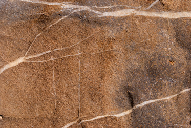 Similar image 21243117