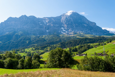 Similar image 21243122