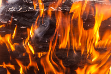 Similar image 21243123