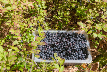 Similar image 21243124