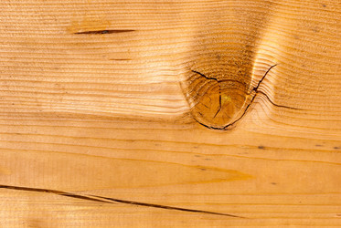 Similar image 21242883