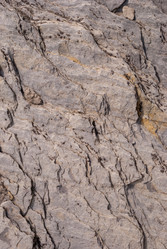 Similar image 21243127