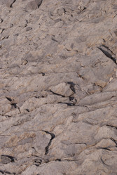 Similar image 21243131