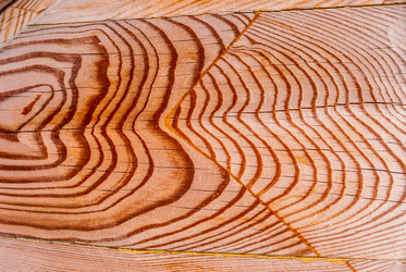 Similar image 21243145