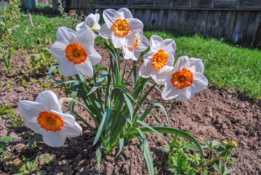 Similar image 21220604