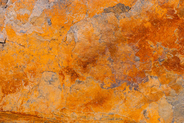 Similar image 21235881