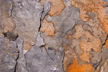 Similar image 21235883