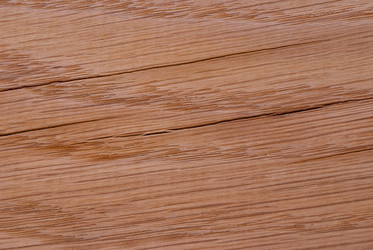 Similar image 21235890