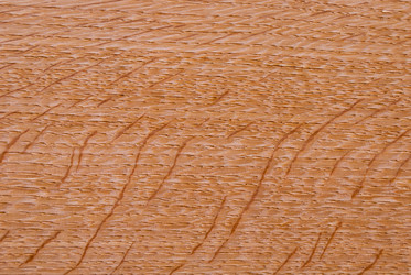 Similar image 21235894