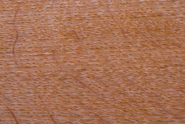 Similar image 21243151