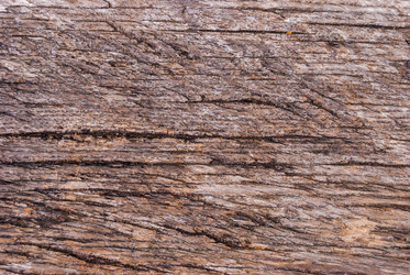 Similar image 21243154