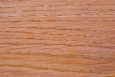 Similar image 21243155