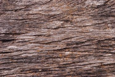 Similar image 21243156