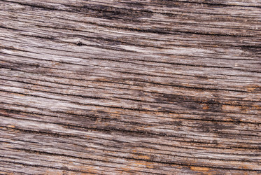 Similar image 21243158