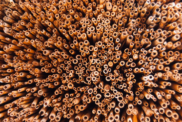 Similar image 21235903