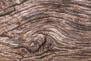 Similar image 21235912