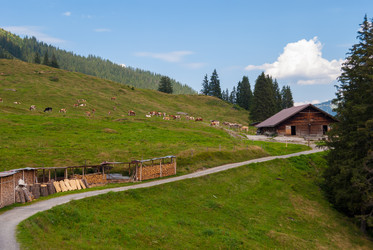 Similar image 21243176