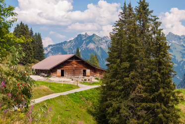 Similar image 21243177