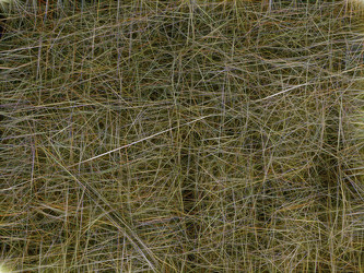 Similar image 21220615