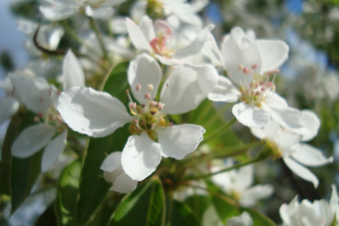 Similar image 21219523