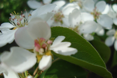 Similar image 21219525