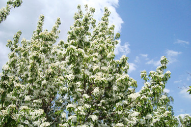 Similar image 21219526