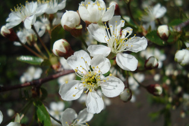 Similar image 21219527