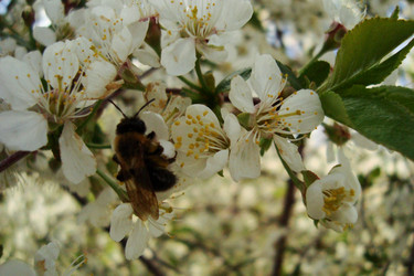 Similar image 21219529