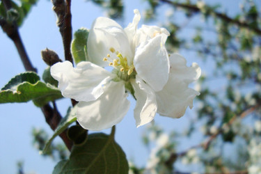 Similar image 21219530