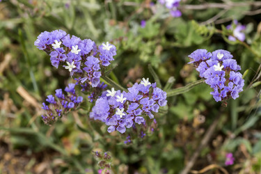 Similar image 21204466