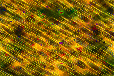 Similar image 21243203