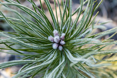 Similar image 21243208