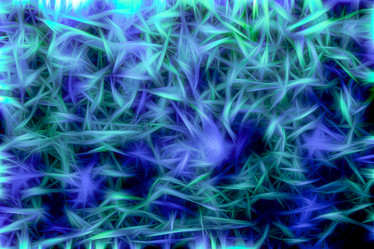 Similar image 21235923