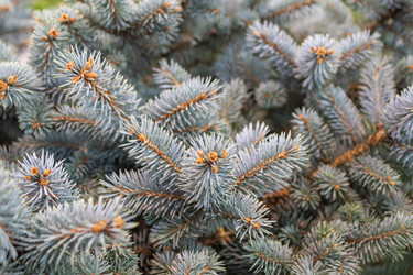 Similar image 21220504