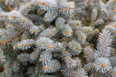 Similar image 21220505