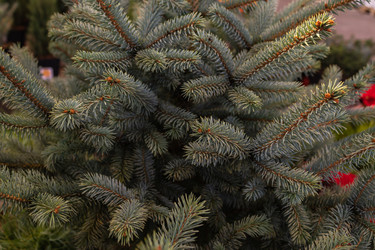 Similar image 21220506