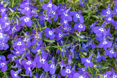 Similar image 21220508