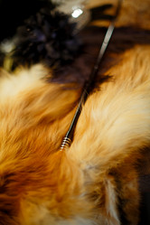 Similar image 21249261