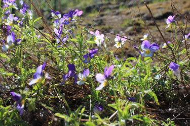 Similar image 21228458