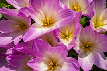 Similar image 21220512