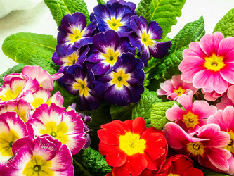 Similar image 21220515