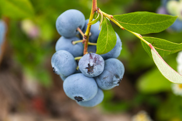 Similar image 21235692