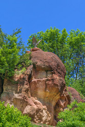 Similar image 21205315