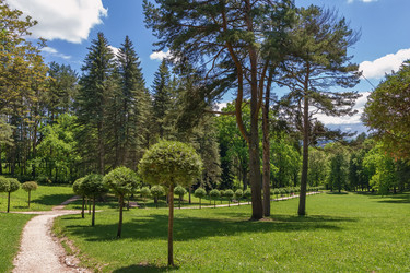 Similar image 21205316