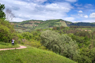 Similar image 21205331