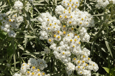 Similar image 21220516