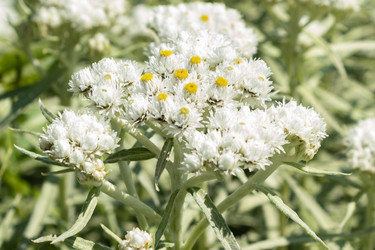 Similar image 21220517